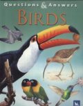 Questions & Answers: Birds (duży format)