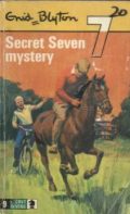 Secret Seven Mystery