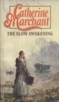 The Slow Awakening