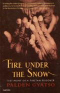 Fire Under the Snow