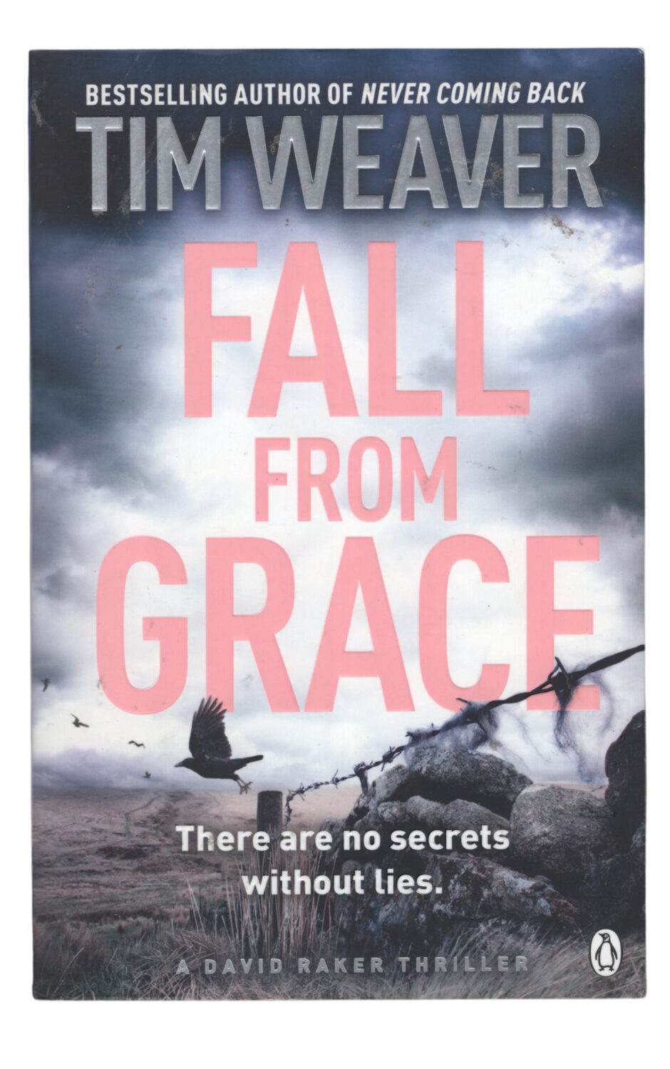 Tim Weaver - Fall From Grace