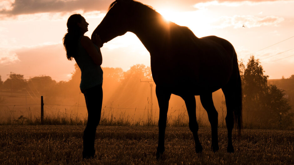 Książki o koniach to nie tylko możliwość nauki o tych zwierzętach, ale również wzruszające historie pełne inspiracji i emocji