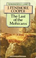 Ostatni Mohikanin książka w języku angielskim