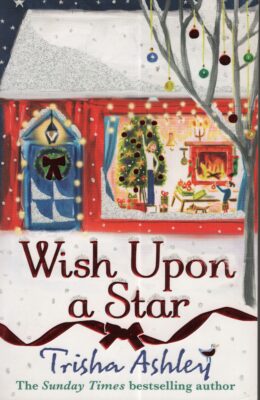 Wish Upon a Star (Trisha Ashley po angielsku)