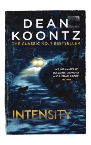 Dean Koontz - Intensity