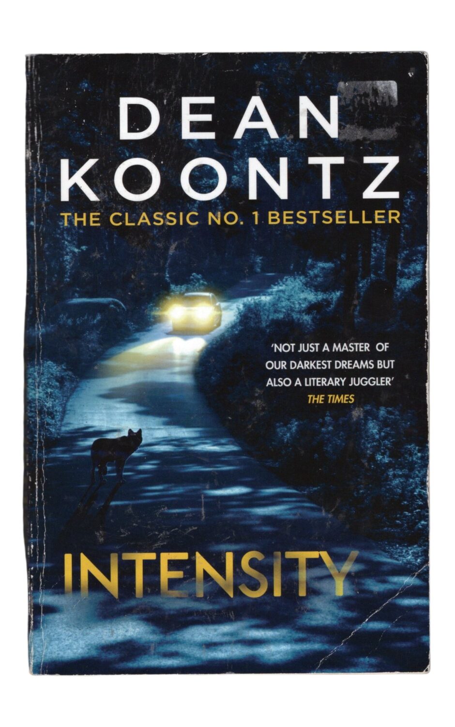 Dean Koontz - Intensity
