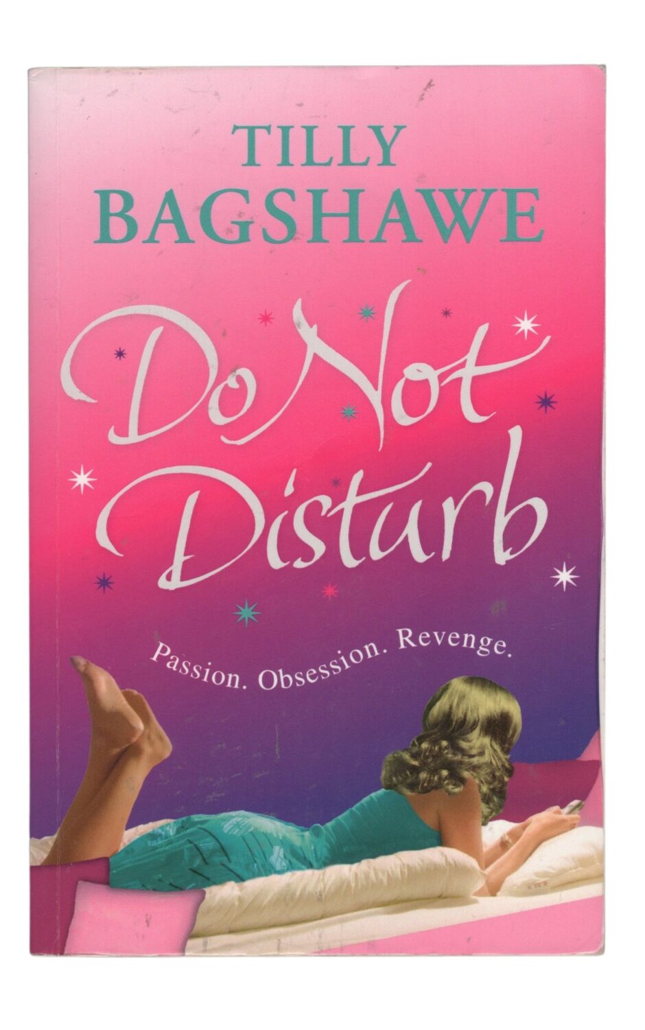 Tilly Bagshawe - Do Not Disturb