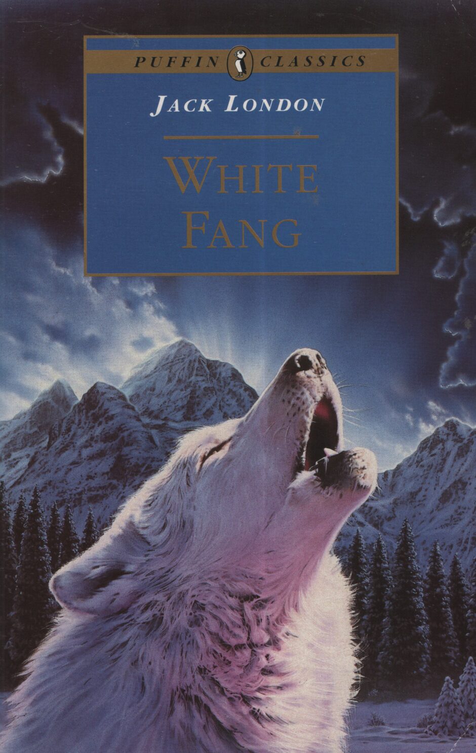 White Fang (Jack London po angielsku)
