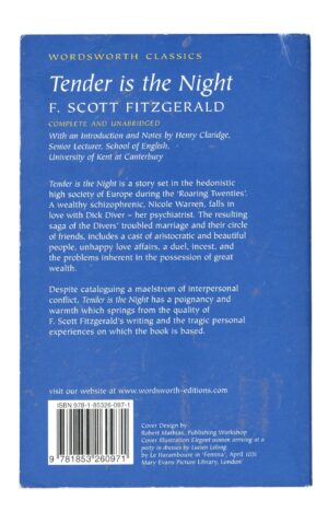 F. Scott Fitzgerald - Tender is the Night
