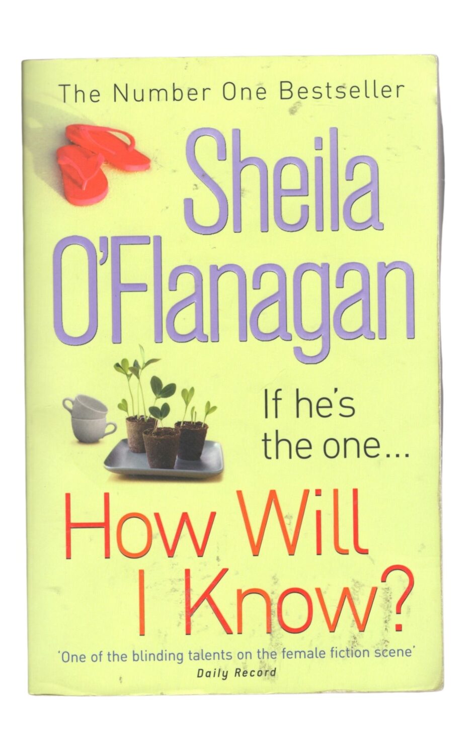 Sheila O'Flanagan po angielsku