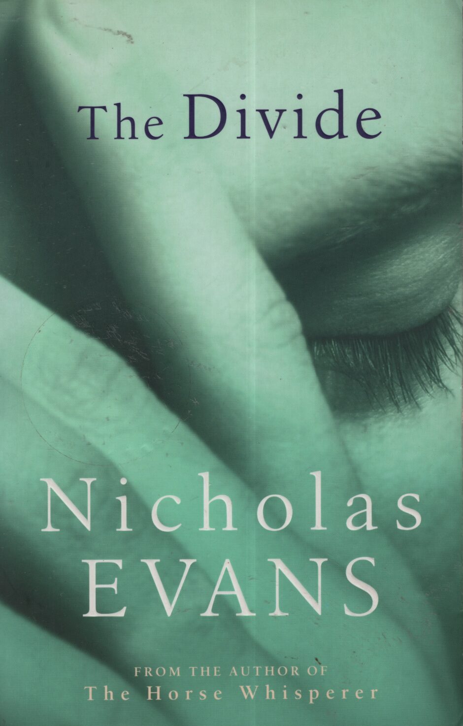 The Divide 2 (Nicholas Evans po angielsku)