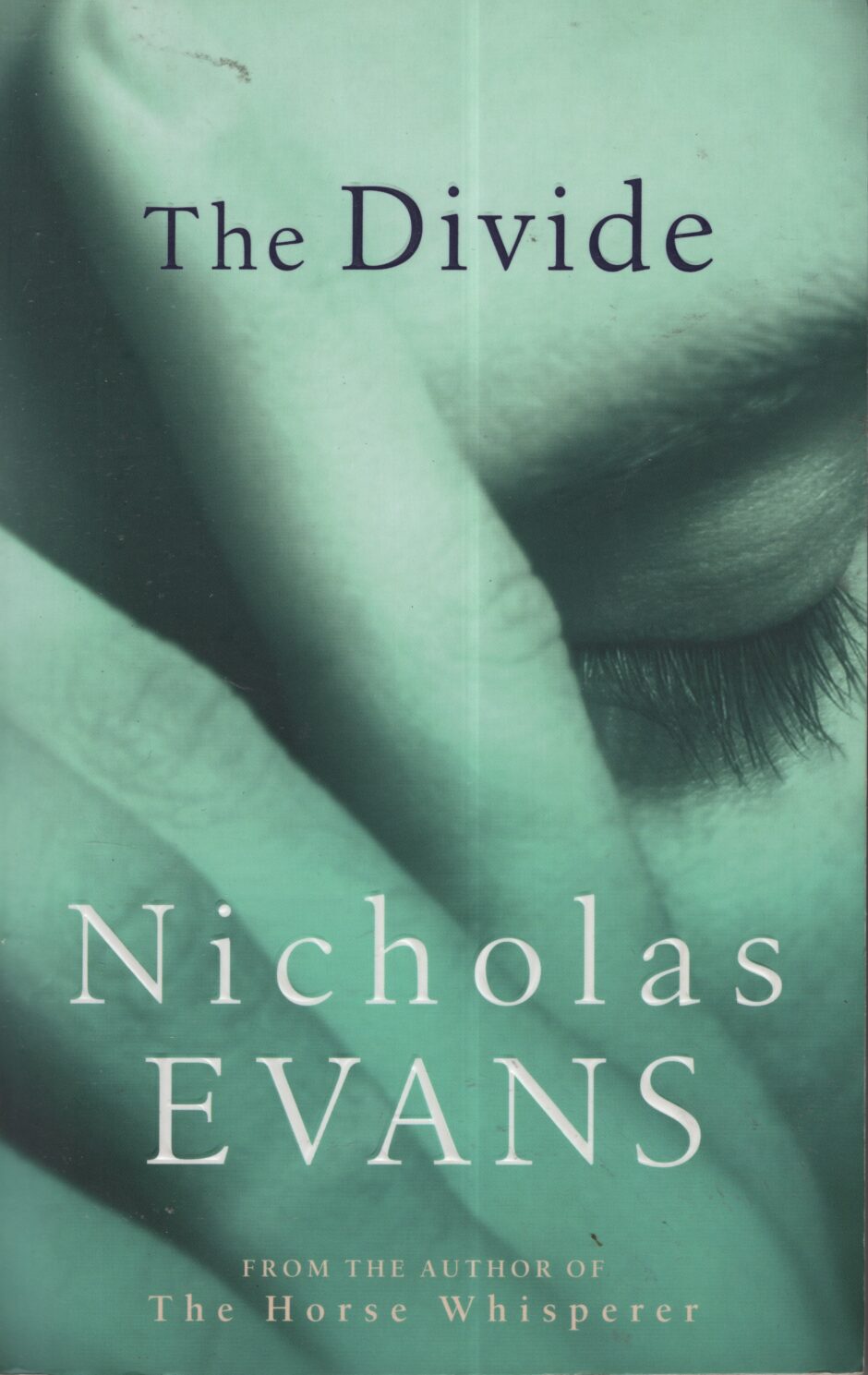 The Divide (Nicholas Evans po angielsku)