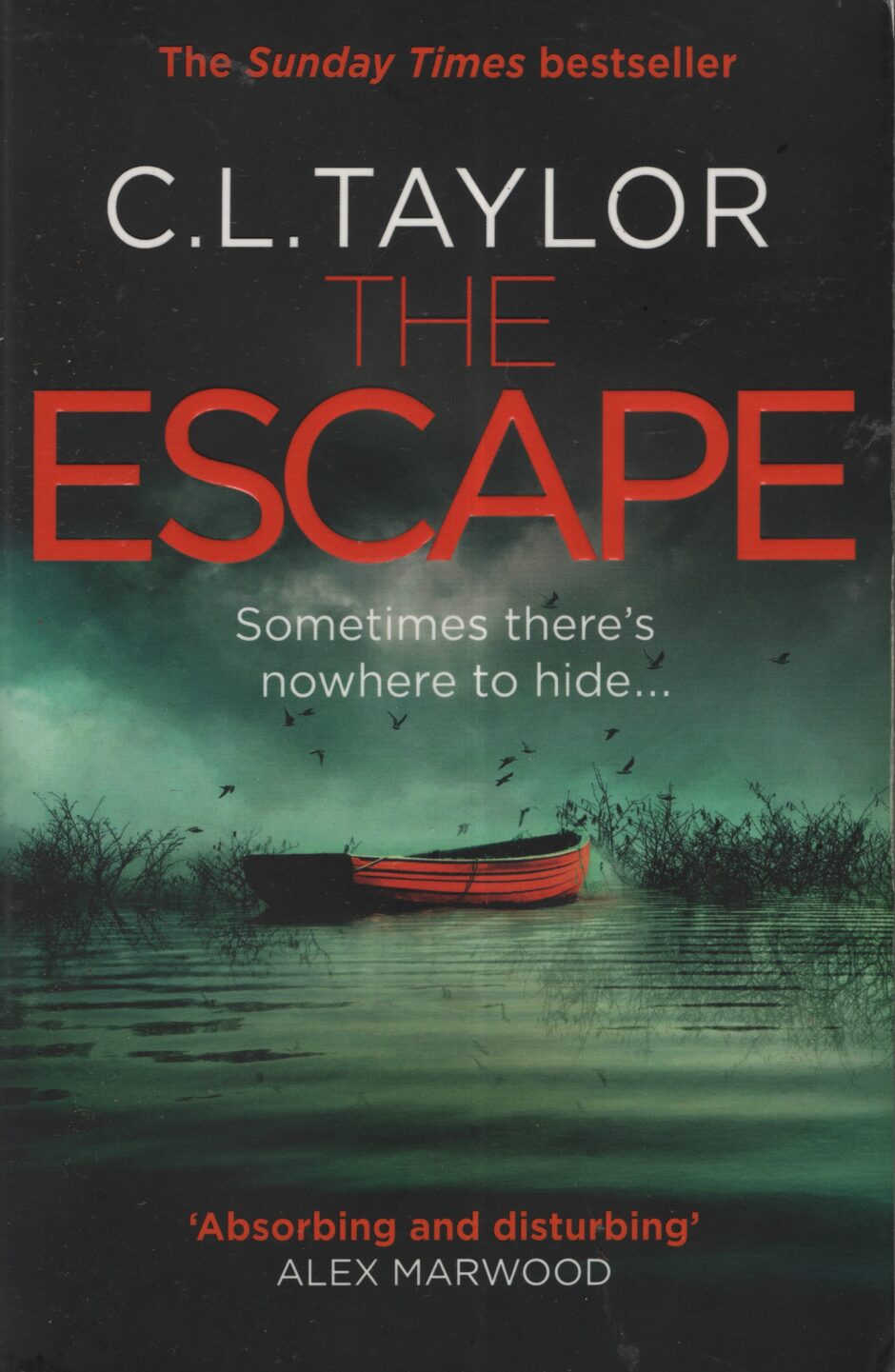 The escape (C.L. Taylor po angielsku)