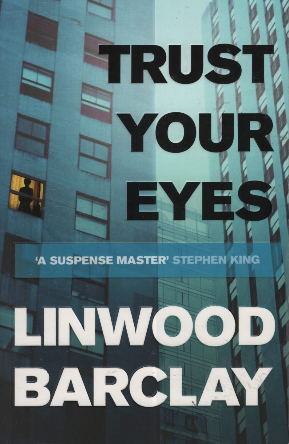 Trust your eyes (Linwood Barclay po angielsku)