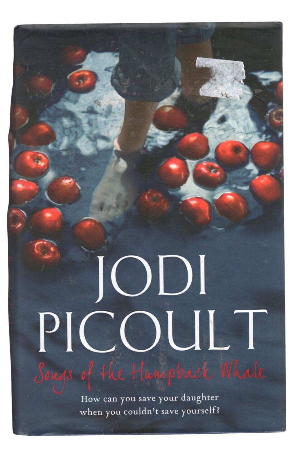 Jodi Picoult po angielsku (4)