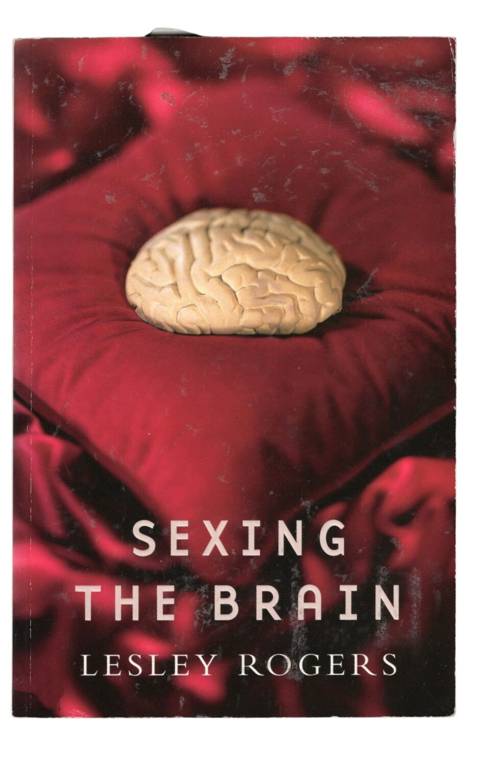 Lesley Rogers po angielsku