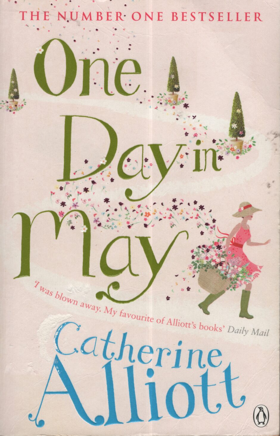 One Day in May (Catherine Alliott po angielsku)