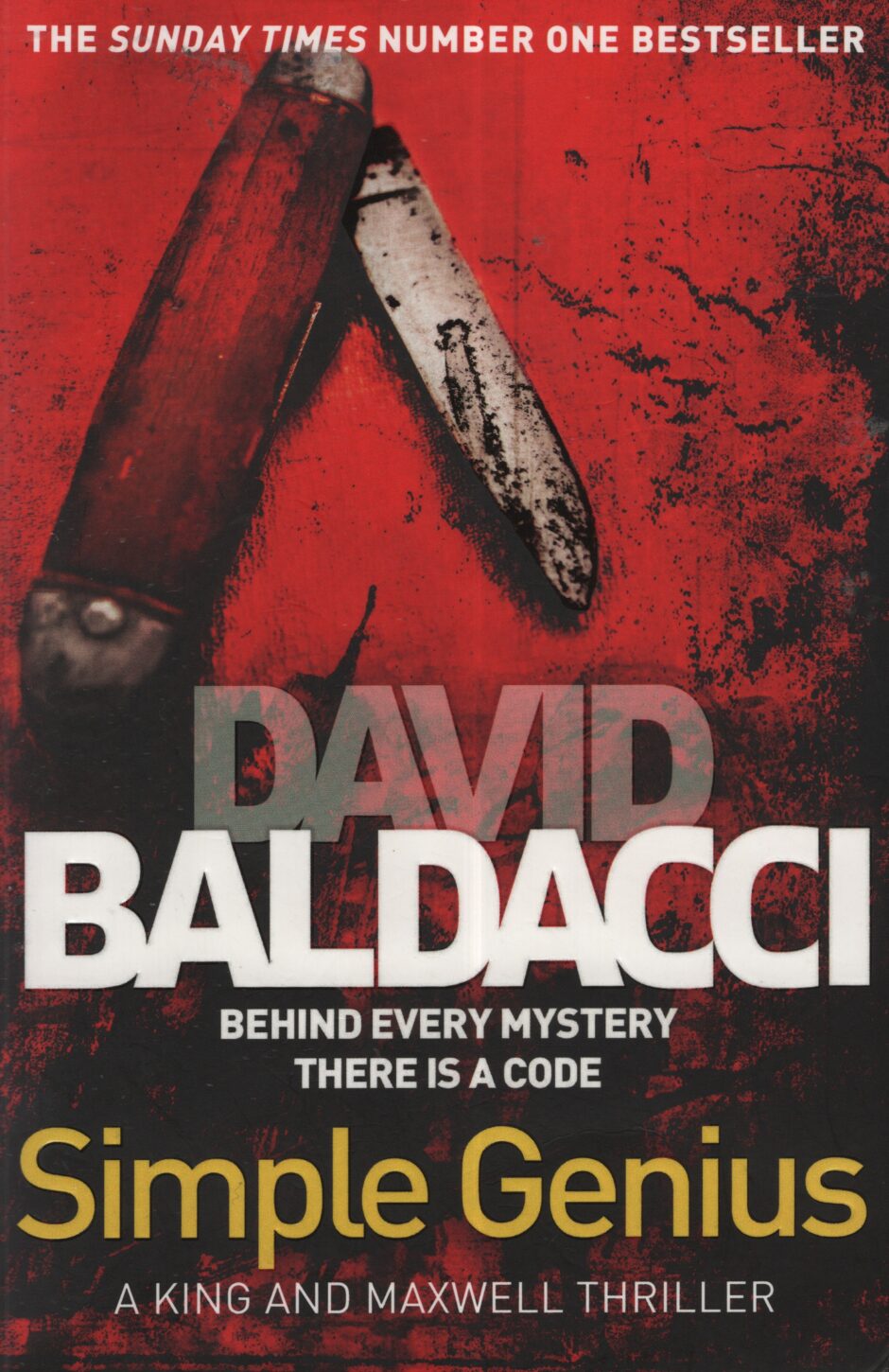 Simple Genius (David Baldacci po angielsku)