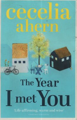 The Year I met You (Cecelia Ahern po angielsku)