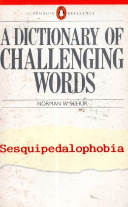 A Dictionary of Challenging Words książka po angielsku