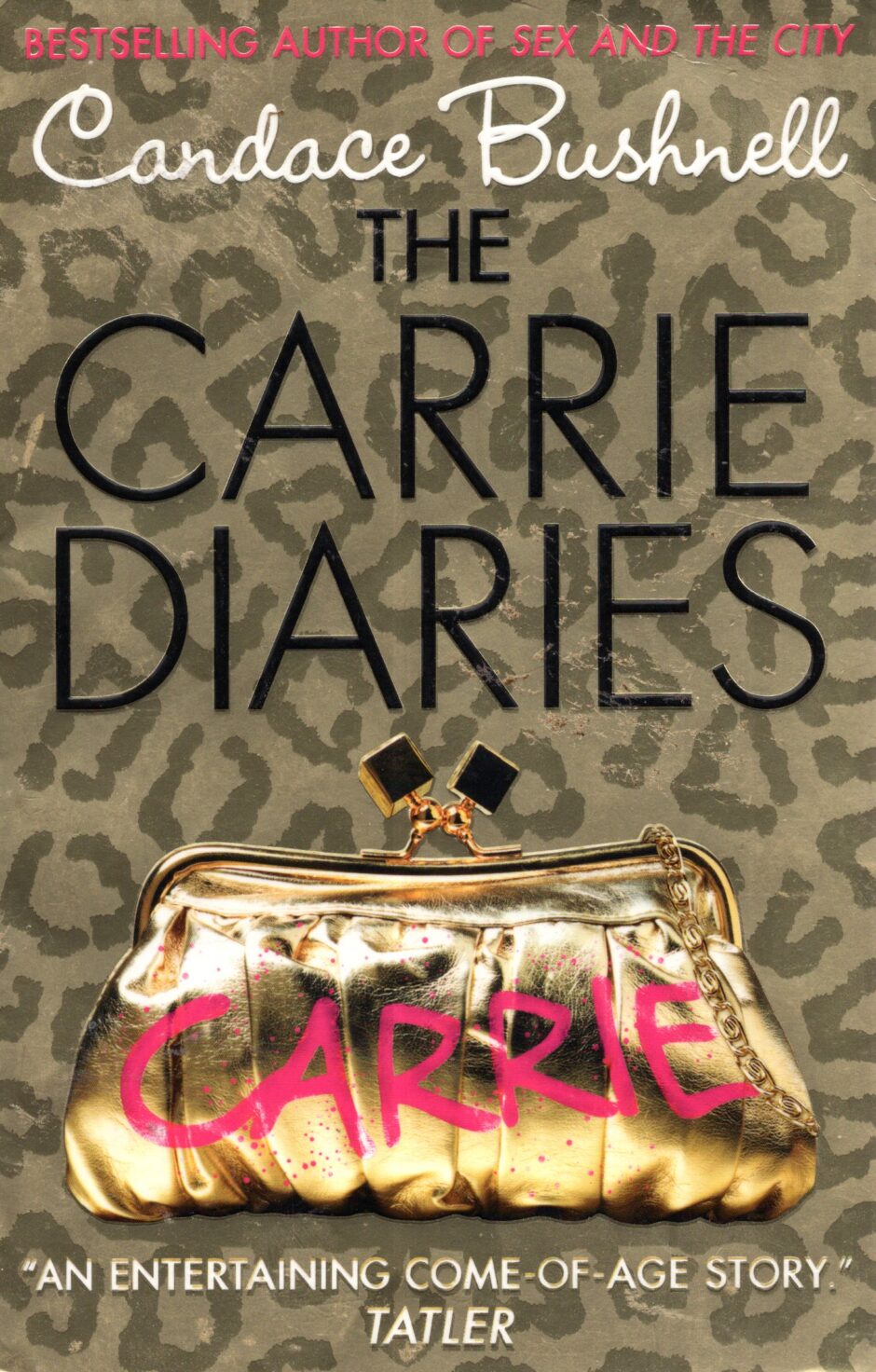 The Carrie Diaries - Bushnell po angielsku