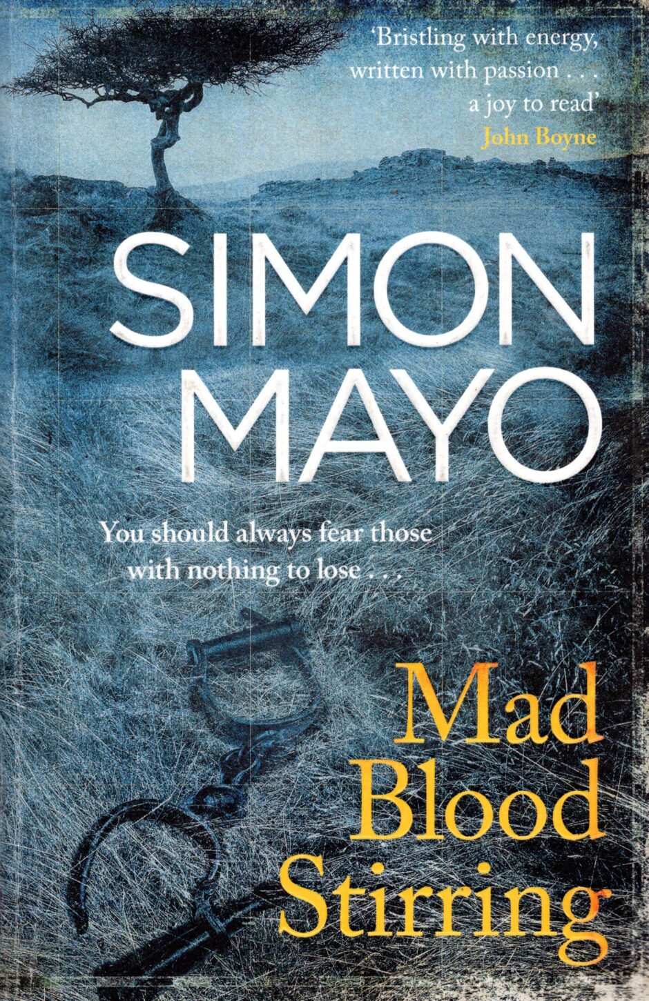 Mad Blood Stirring – Mayo po angielsku