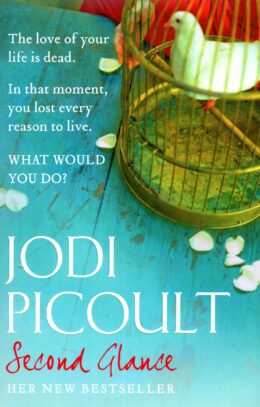 Second Glance - Picoult po angielsku