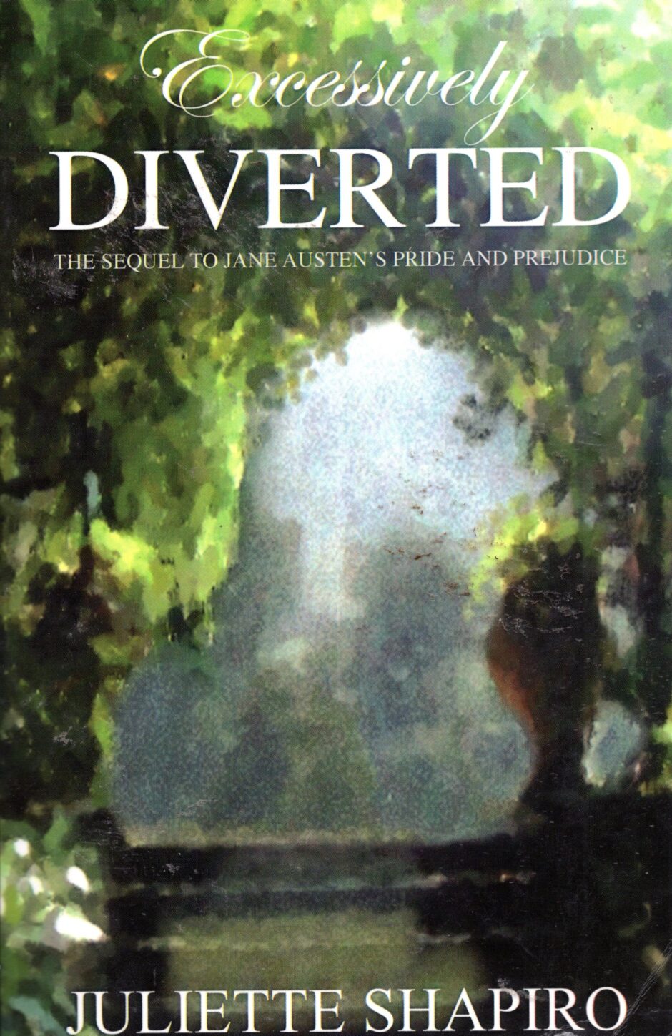 Excessively Diverted: The Sequel to Jane Austen's Pride and Prejudice - po angielsku