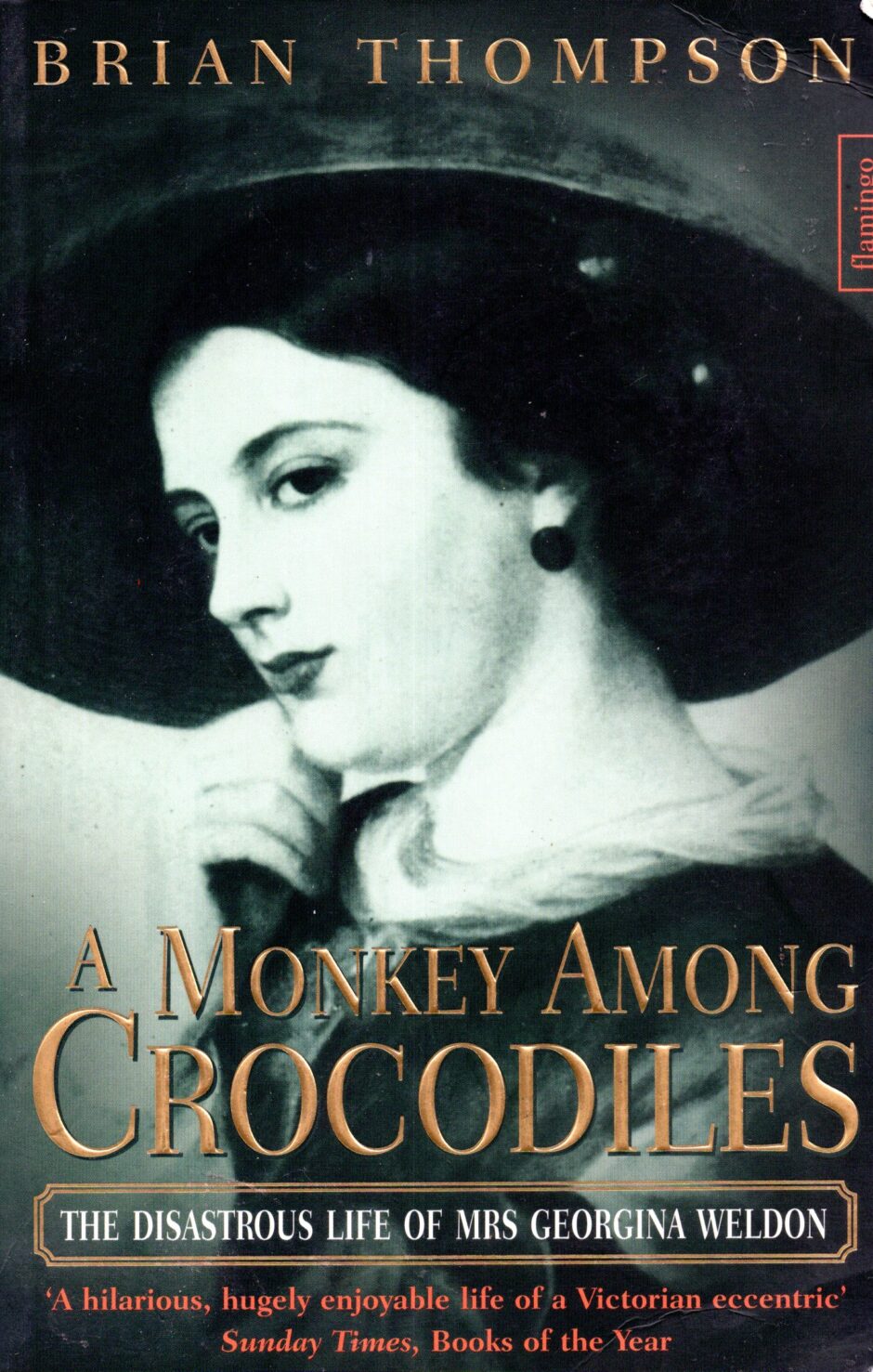 A Monkey Among Crocodiles – Thompson po angielsku