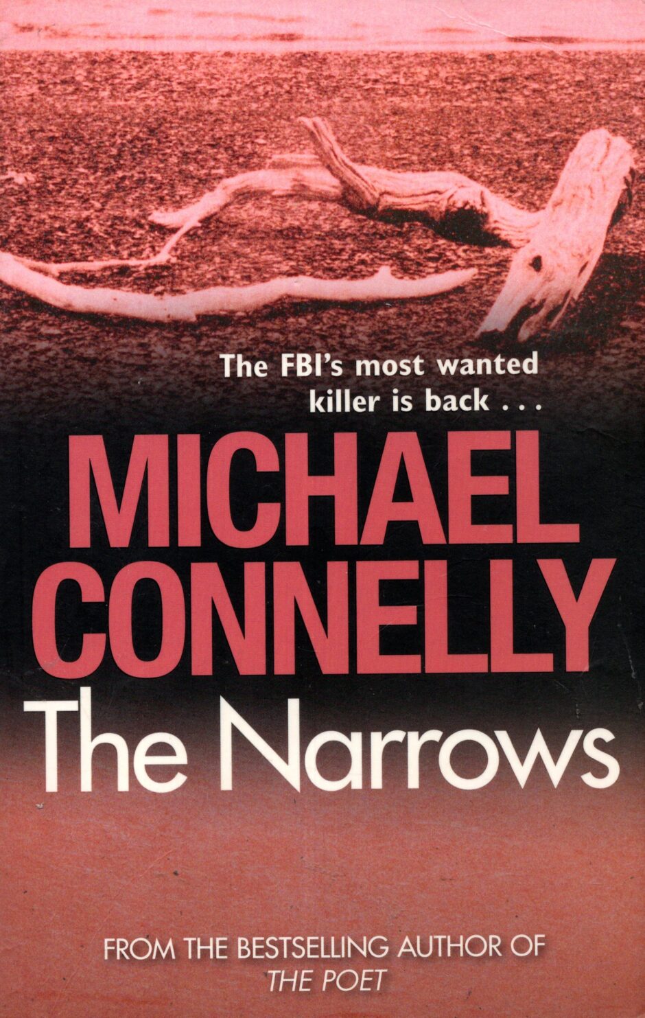 The Narrows – Michael Connelly po angielsku