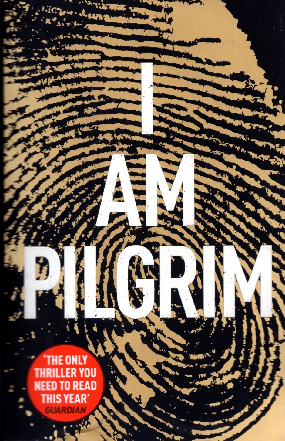 I Am Pilgrim – Terry Hayes po angielsku